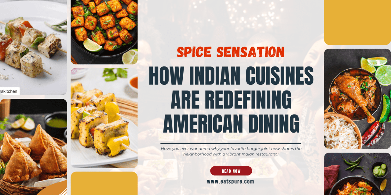 Spice Sensation How Indian cuisine Are Redefining American Dining(00)