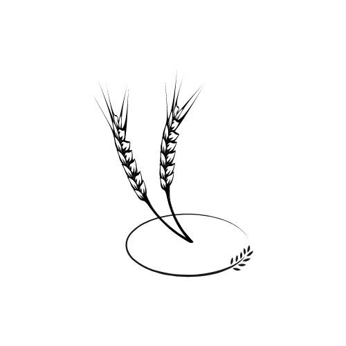 quality grains